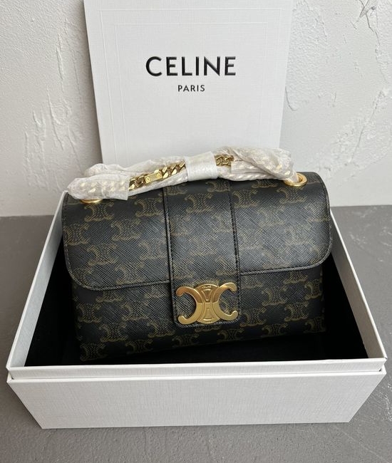 Celine Teen Victoire Signature Printed Leather Bag 116593