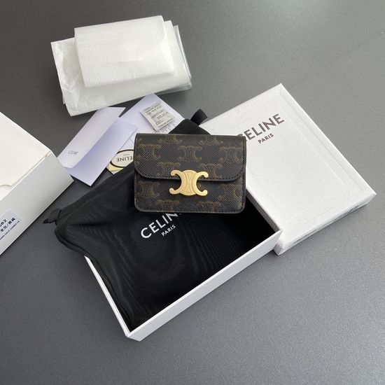 Celine TRIOMPHE Logo Printed Flap Card Holder 10I582CPJ.04LU