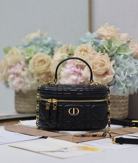 Christian Dior CD 30 Montaigne Mini Vanity Bag 5198