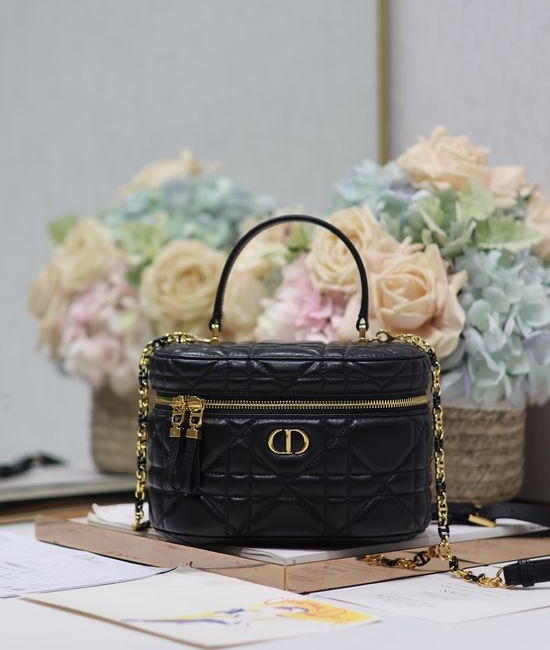 Christian Dior CD 30 Montaigne Vanity Small Handbag 5198