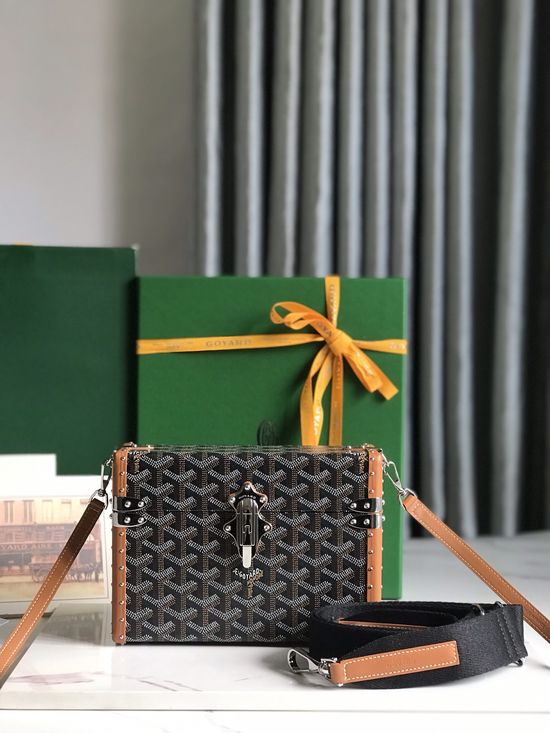 Goyard Cassette Box Bag 2102