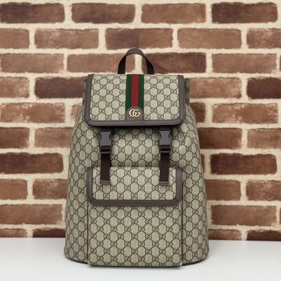 Gucci Original Leather Bag Brown PVC 792104