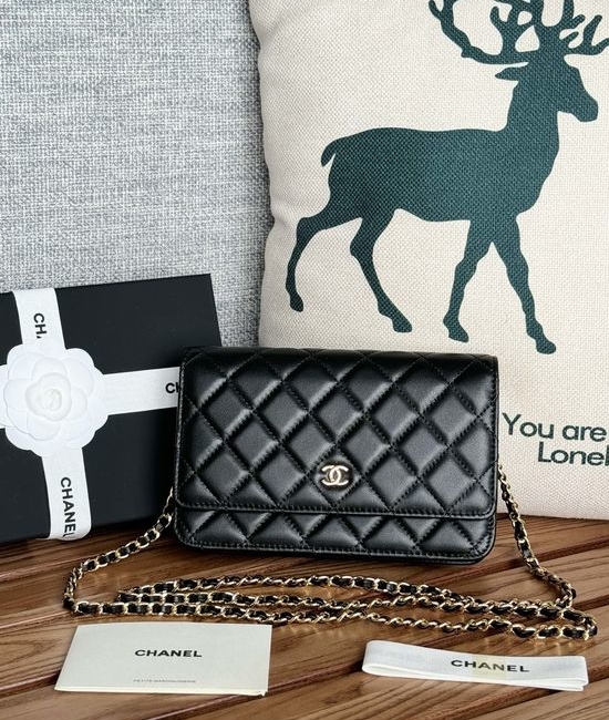 Chanel Sheepskin Series Classic Magnetic Snap AP350