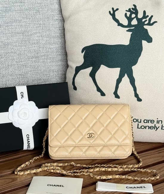 Chanel Quilted Lambskin Magnetic Clasp Woc AP350