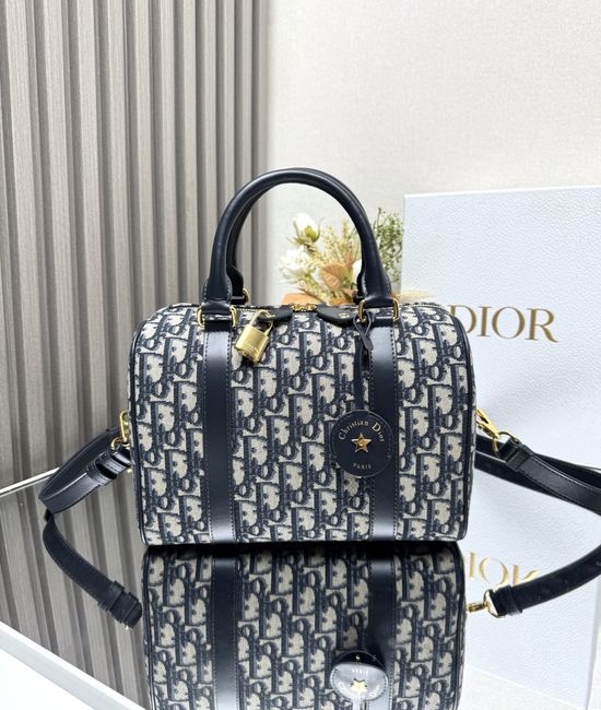 Christian Dior CD Groove Oblique Handbag 1365