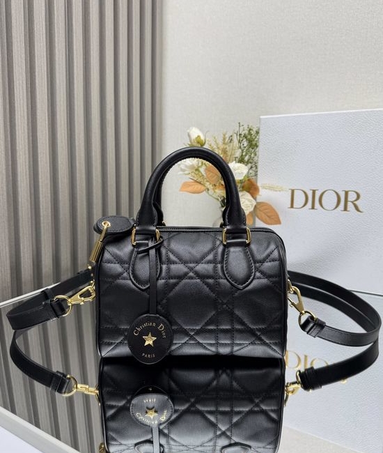 Christian Dior CD Groove Oblique Handbag 1364