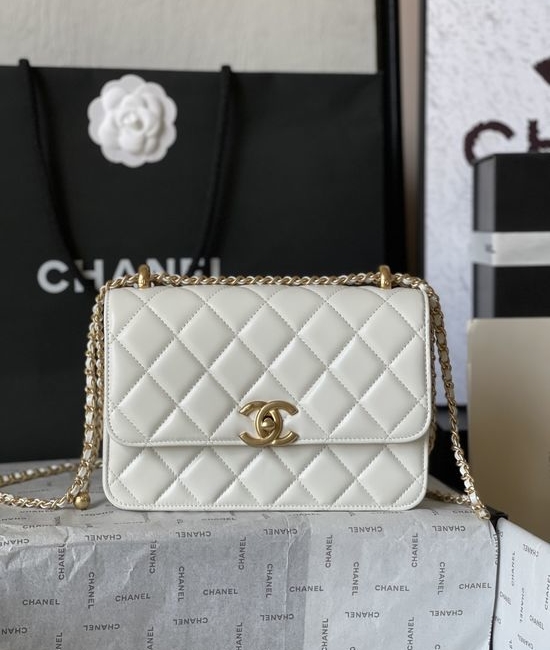 Chanel Classic CF Bag Medium Top-Quality Leather AS2649