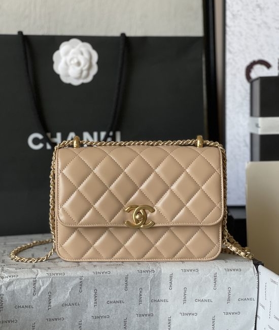 Chanel Classic CF Head-Layer Leather Handbag AS2649