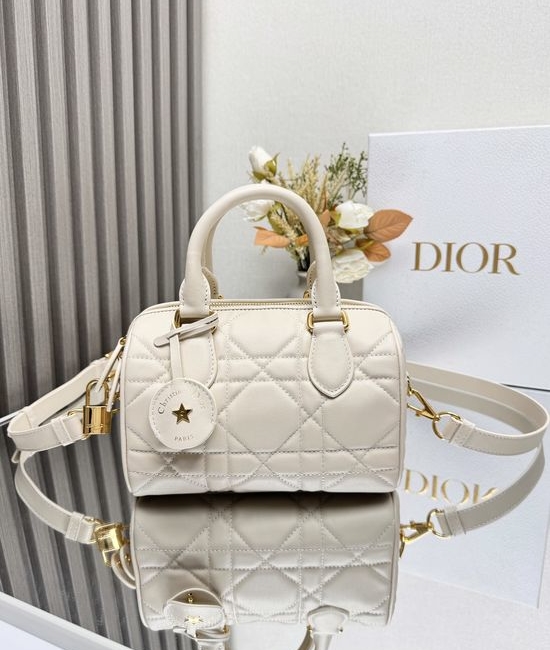Christian Dior CD Groove Oblique Leather Handbag 1364