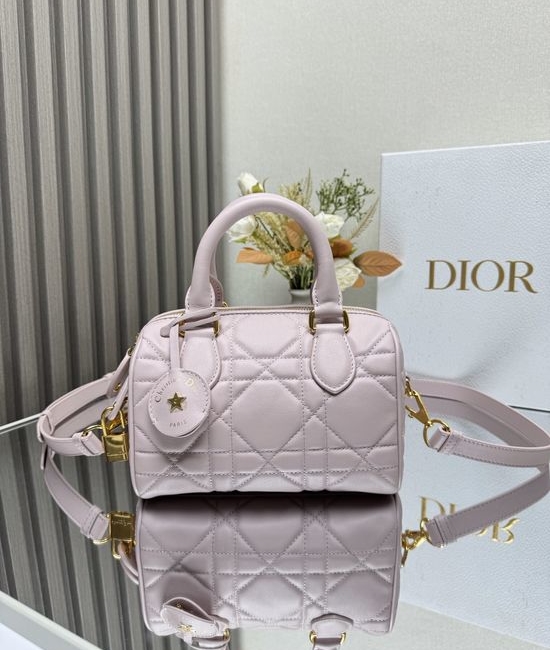 Christian Dior CD Groove Oblique Pink Handbag 1364