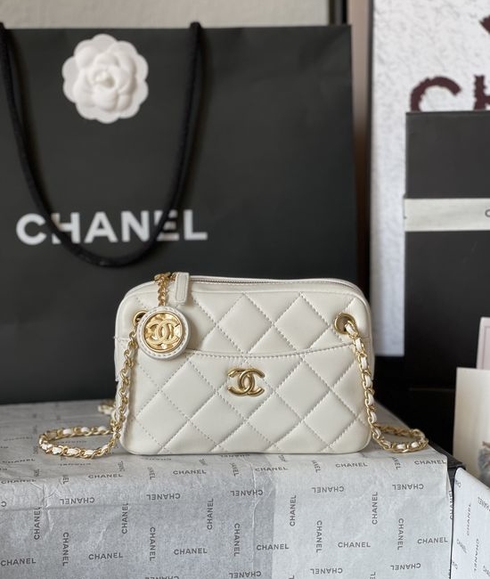 Chanel Camera Bag Lambskin Gold Hardware AS5190