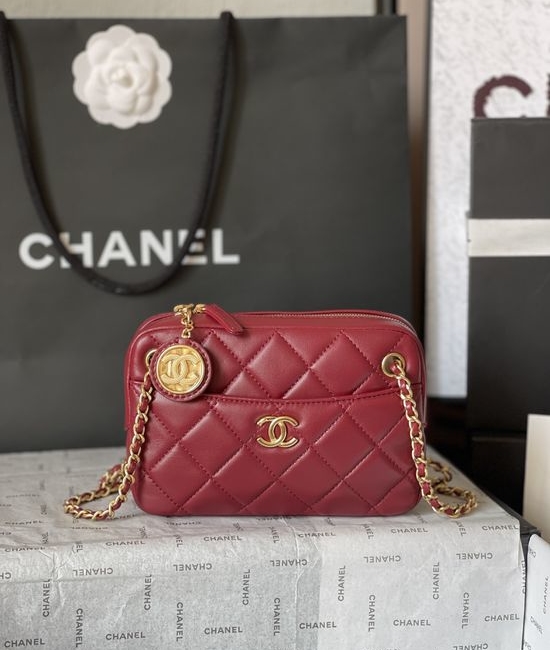 Chanel Camera Bag AS5190
