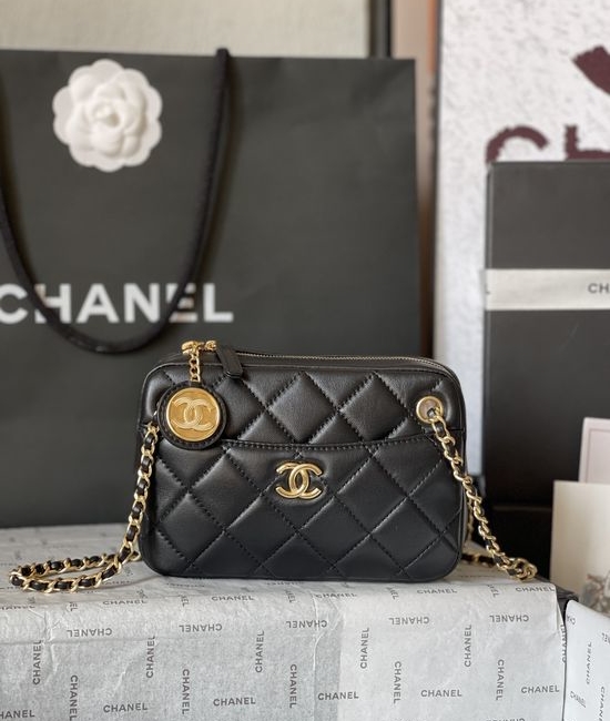 Chanel Camera Bag Lambskin Gold Hardware AS5190