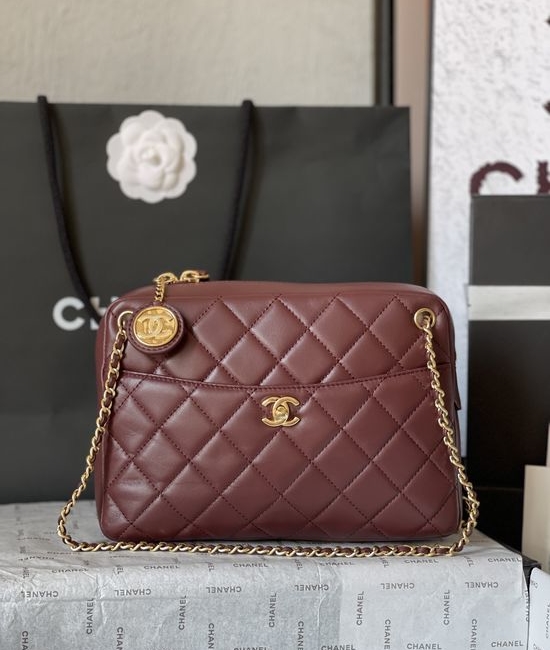 Chanel Camera Bag Double C Charm AS5187