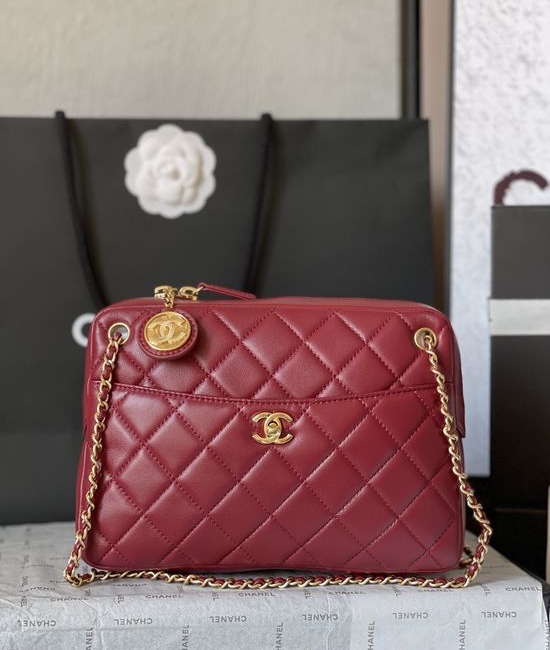 Chanel Camera Bag Lambskin Gold Hardware AS5187