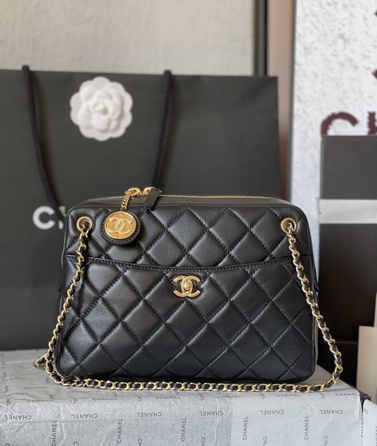 Chanel Camera Bag Lambskin Gold Hardware AS5187