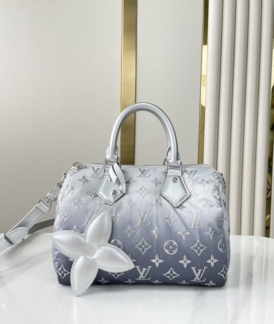 Louis Vuitton LV SPEEDY Quilted Pillow Handbag M11848