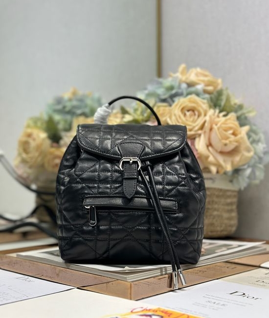 Christian Dior CD Small Lambskin Backpack D006