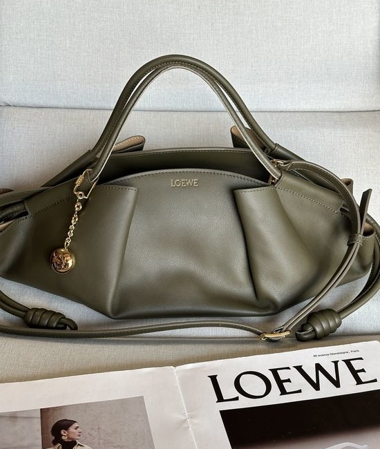Loewe Paseo Dumpling Bag Shiny Nappa Leather 1668L