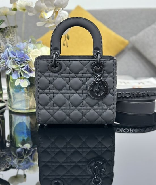 Christian Dior CD Lady Christian Dior CD Matte Leather Handbag 6604