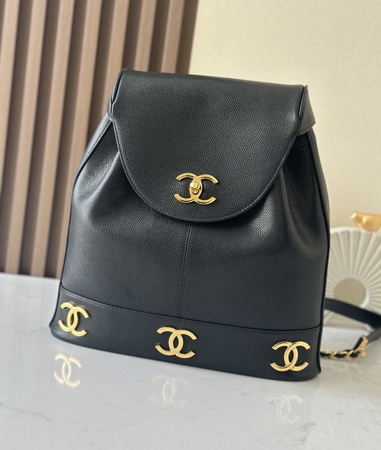 Chanel Vintage Double C Backpack A2213