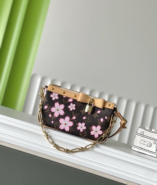 Louis Vuitton LV Pochette Chain Bag M13666