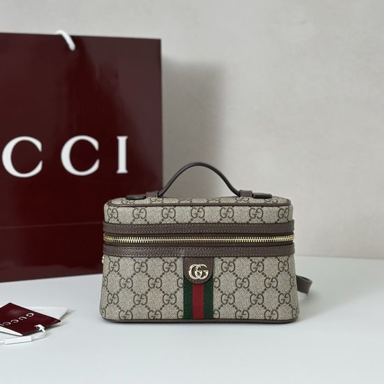Gucci Premium Leather Brown Rubber Bag 838491