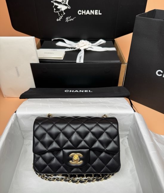 Chanel Sheepskin Gold Hardware Flap Bag 1116