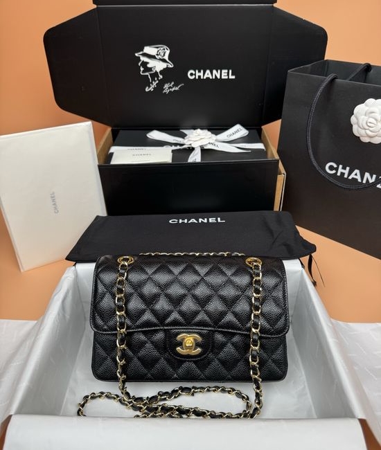 Chanel Flap Bag Gold Hardware A1113