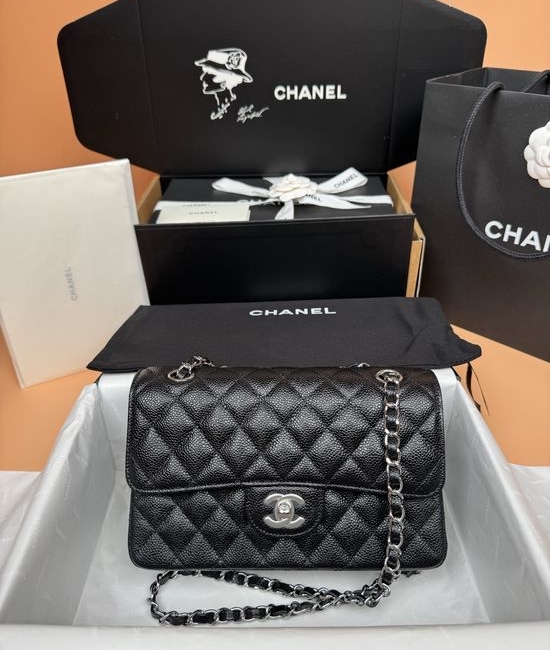 Chanel Flap Bag Silver Hardware A1113