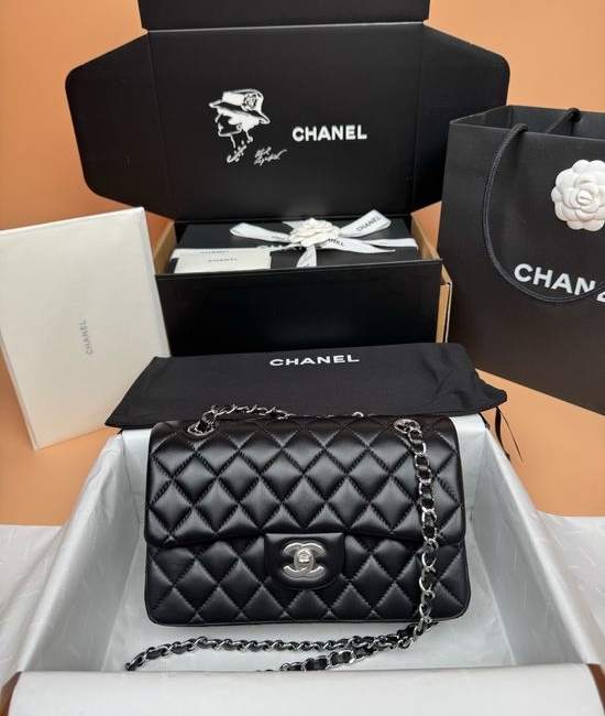 Chanel Classic Flap Handbag A1113