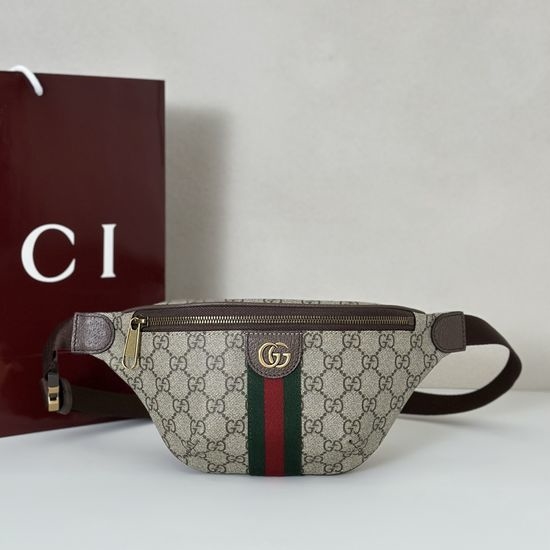 Gucci Handbag Brown Coated Canvas Model 839106