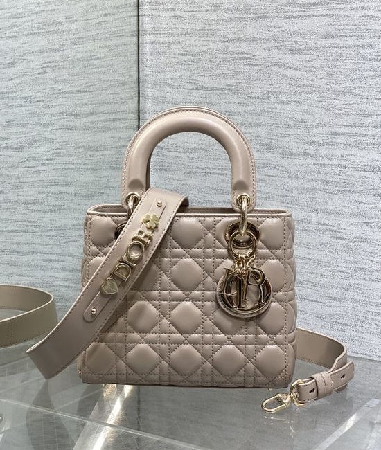 Christian Dior CD Lady Christian Dior CD Handbag 6604