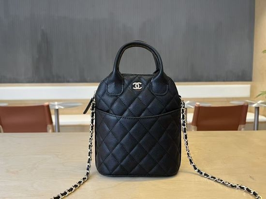 Chanel Metiers d Art Shell Bag AP4842