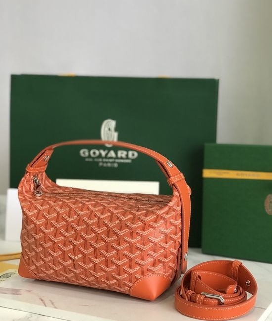 Goyard Boeing Multi-Functional Storage Bag 020215-1