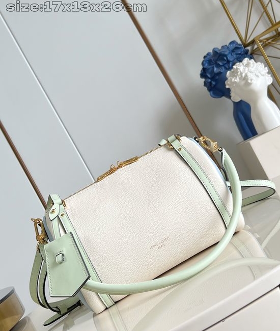 Louis Vuitton LV Express Small Monogram Handbag M26039