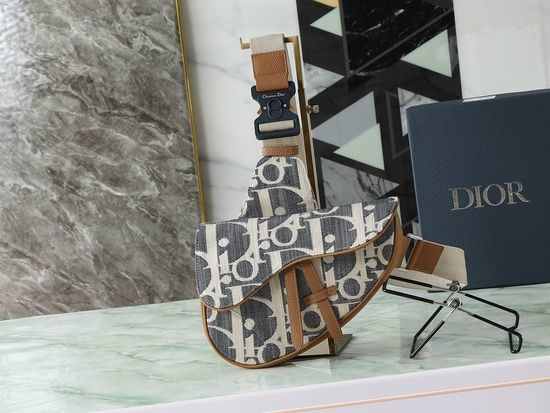 Dior Saddle Bag 1ADPO130ROM_H567