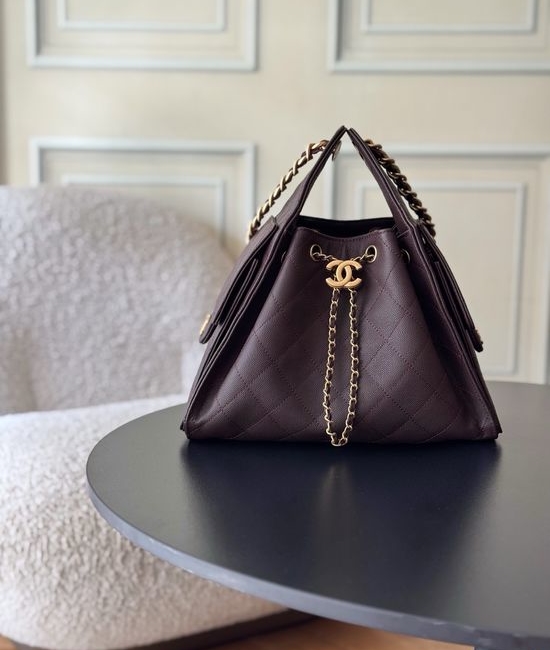 Chanel AS5293 Vintage Gold Coin Bucket Bag 15980