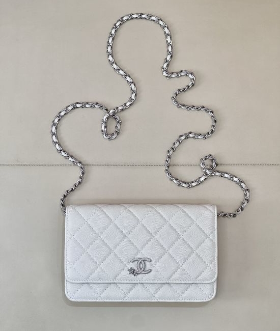 Chanel Woc Quilted Flap Chain Bag 3723