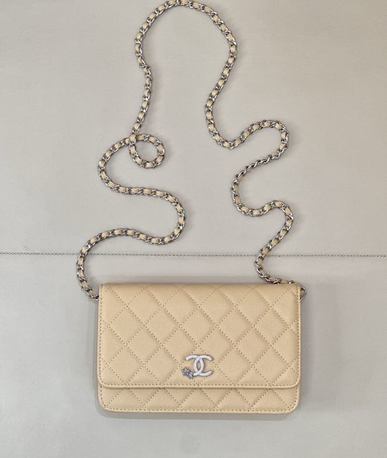 Chanel Woc Quilted Flap Chain Bag 3723