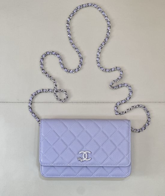 Chanel Comet Woc Crossbody Bag 3723