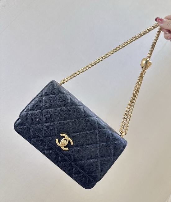 Chanel WOC Chain Crossbody Bag 3201