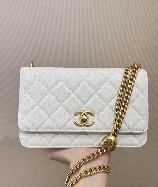 Chanel WOC Chain Crossbody Bag 3201