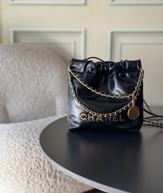 Chanel 22 Bag Classic Calfskin Handbag 3980