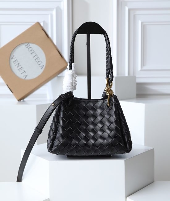 Bottega Veneta BV Andiamo Small Classic Handbag 796569
