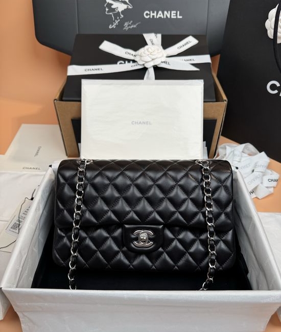 Chanel 1080 Series Lambskin Handbag with Silver Hardware 1112