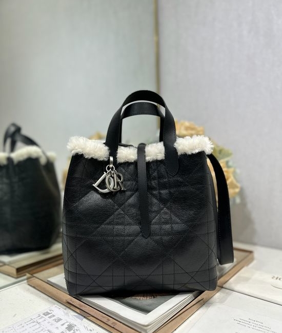 Christian Dior CD Christian Dior CDAlps Toujours Vertical Handbag 2836