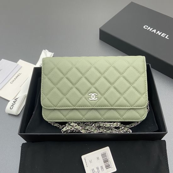 Chanel Original Leather Fish Sauce Cowhide Green Silver Bag AP0250