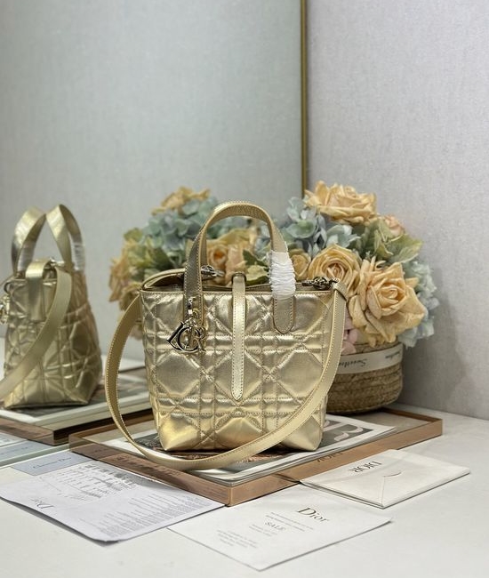 Christian Dior CD Toujours Small Vertical Handbag 2836