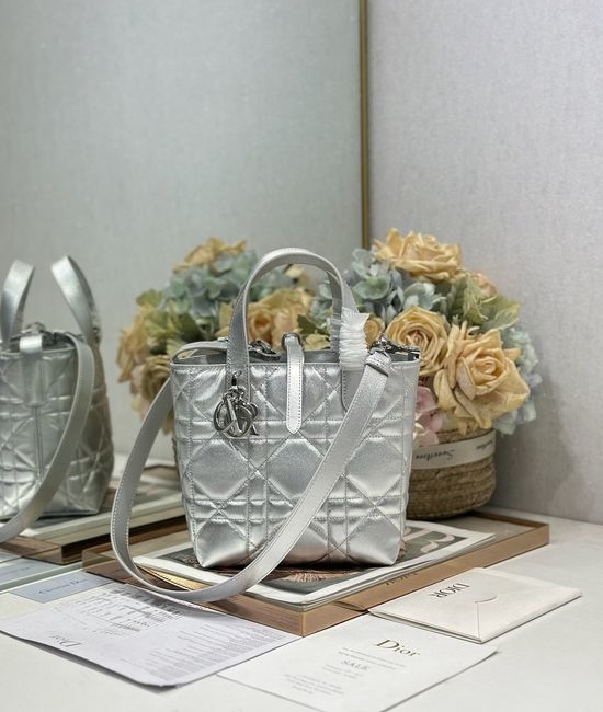Christian Dior CD Toujours Vertical Handbag Silver 2836